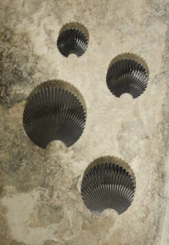 AYTM Concha Hook Silver 11 AYTM Concha Hook Silver -Cheap GEJST Store 507111 01 11 EnvironmentImage 5c835599d4